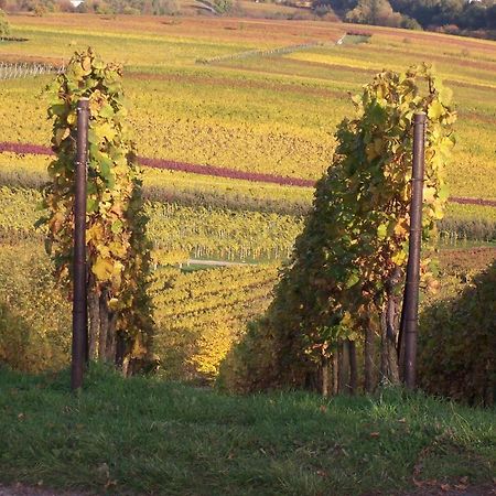 Feriendorf Sonnenberg Appartamento Leinsweiler Esterno foto